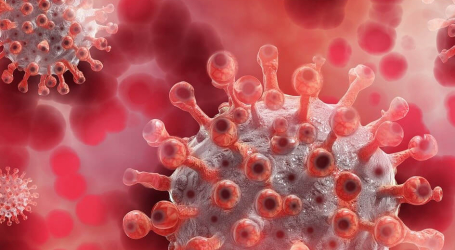 DETECCIÓN DE ANTICUERPOS  ANTI-SARS-COV-2 S