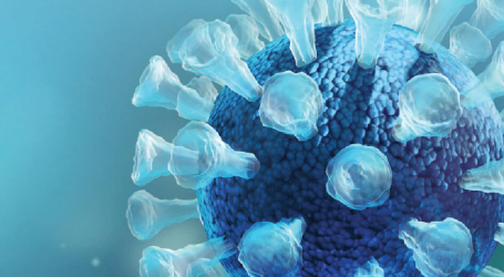 DETECCIÓN DE ANTÍGENOS SARS-CoV-2