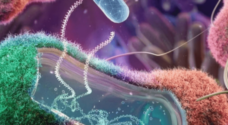 El laboratorio de microbiología en la era de la multirresistencia